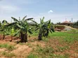 13 Decimals Land for Sale in Gayaza Kabubuu - 3