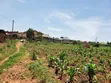 13 Decimals Land for Sale in Gayaza Kabubuu - 5