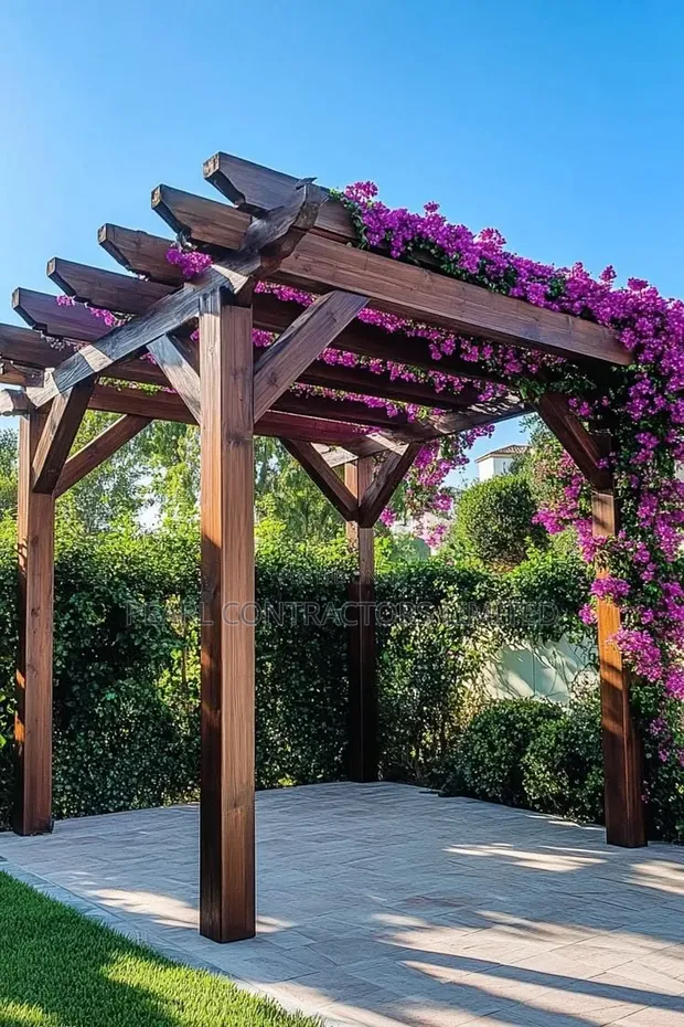 Pergola with Bougainvillea Flowers - 1