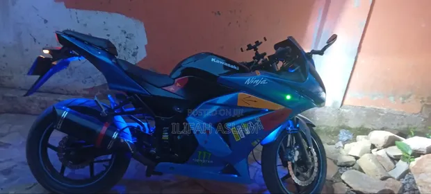 Kawasaki Ninja 300 2019 Blue - 1