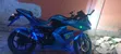 Kawasaki Ninja 300 2019 Blue - 1