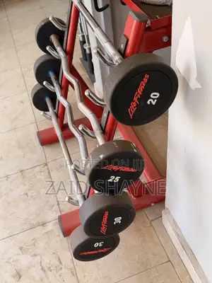 Brand New Life Fitness Curl Barbell (20kg)