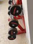 Brand New Life Fitness Curl Barbell (20kg) - 3