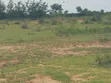 10 Acres Riverbank Land for Sale in Pakwach - 4