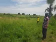 10 Acres Riverbank Land for Sale in Pakwach - 5