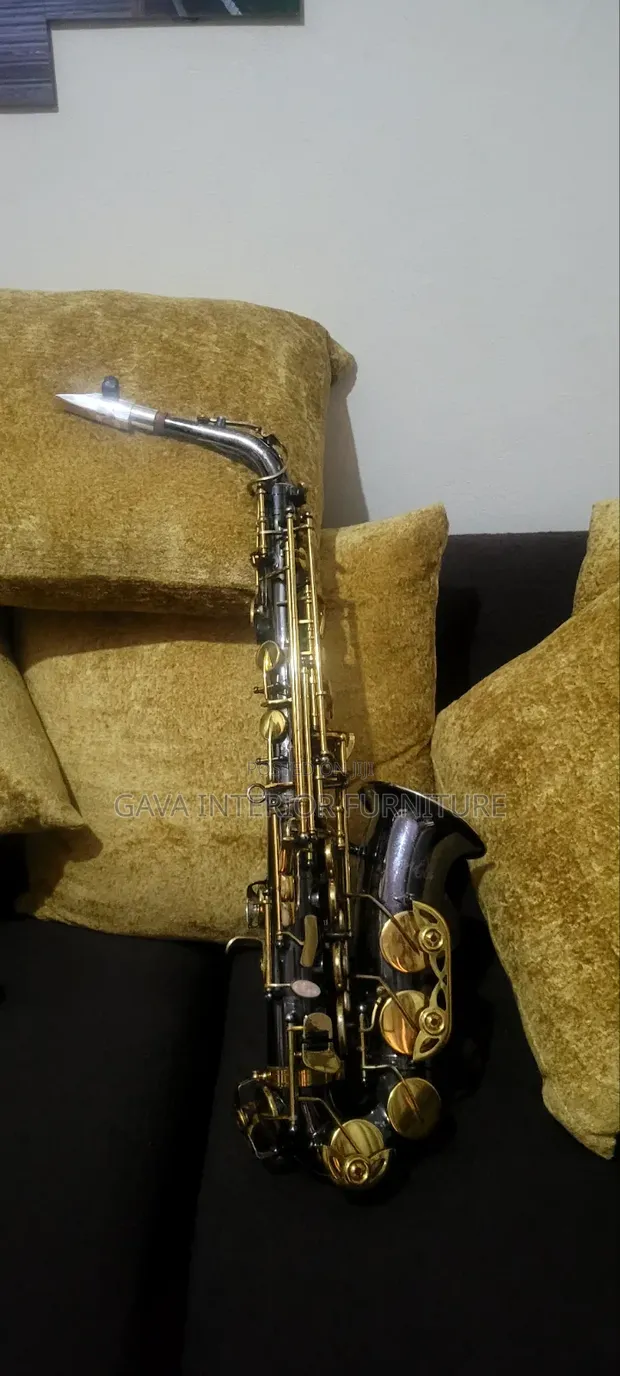 Used Agile Alto Saxophone - 1