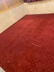 Soft Wall-to-Wall Carpets - All Designs - 1