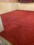 Soft Wall-to-Wall Carpets - All Designs - 2