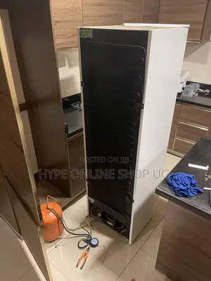 Luxury Fridge Repair & Gas Refilling Services