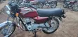 Bajaj Boxer 2024 Red - 3