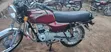 Bajaj Boxer 2024 Red - 4