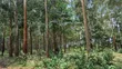 8 Acres Land Touching Water in Bujjumba - 1
