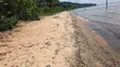 8 Acres Land Touching Water in Bujjumba - 4
