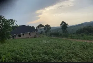 3 Plots for Sale in Kakiri - Kigubi