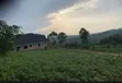 3 Plots for Sale in Kakiri - Kigubi - 1