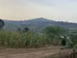 3 Plots for Sale in Kakiri - Kigubi - 2