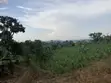3 Plots for Sale in Kakiri - Kigubi - 4