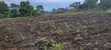 50x100ft Plots for Sale in Wakiso Gobero - 2