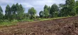 50x100ft Plots for Sale in Wakiso Gobero - 4
