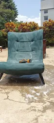 Sofa and Carpet Cleaning Services by STJ Cleaning - 1