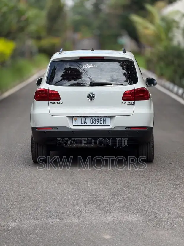 Volkswagen Tiguan 2014 Silver - 1