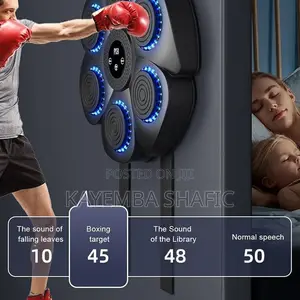 Smart Bluetooth Music Boxing Machine