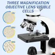 DLAB Binocular Microscope 40x-1000x for Students - 2