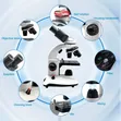 DLAB Binocular Microscope 40x-1000x for Students - 4