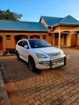 Toyota Harrier 2008 White - 1