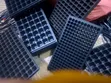 Seedling Trays - Plastic, Brand New - 3