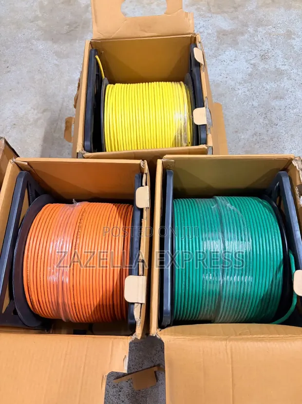 D-Link Indoor Cat6 Ethernet Cable (100m) - 1