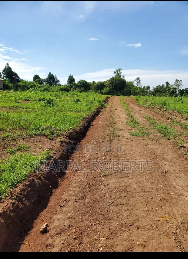 Titled Plots for Sale in Bamutakude, Mukono - 1