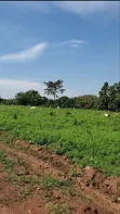 Titled Plots for Sale in Bamutakude, Mukono - 2