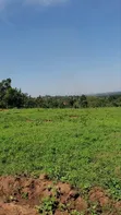 Titled Plots for Sale in Bamutakude, Mukono - 4