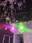 LED Filament Bulbs - 6W - 2
