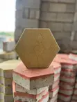 Hexagon Coloured Paver - 1