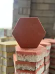 Hexagon Coloured Paver - 3