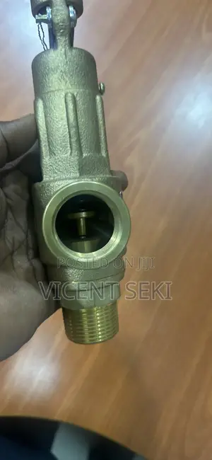 Bronze Safety Valves (CI, SS, Bronze, Flanged)