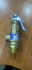 Bronze Safety Valves (CI, SS, Bronze, Flanged) - 2