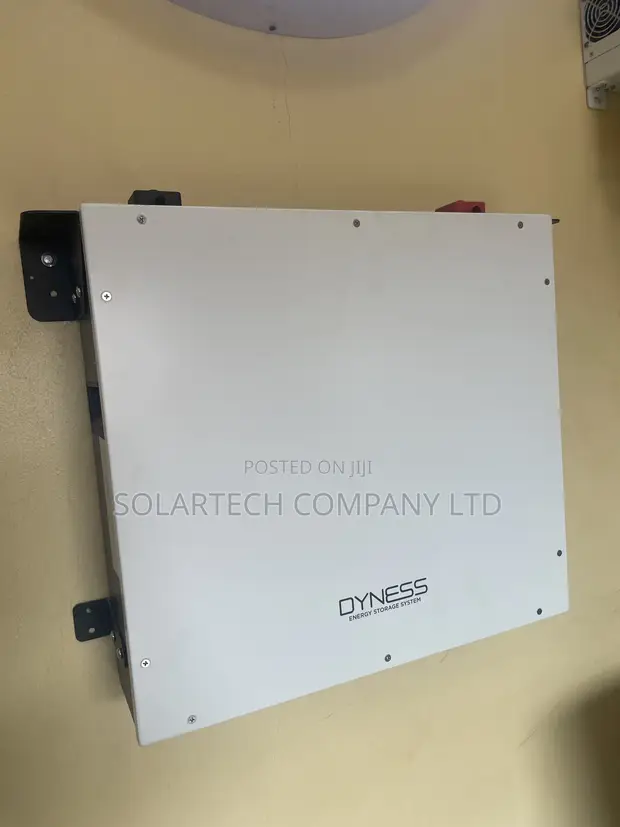 Dyness 51.2V 100Ah 5.12kWh Solar Battery - 1