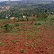 Mailo Land with Title in Nama - 3