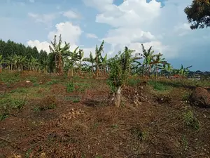 3 Acres of Land for Sale - Kigogwa