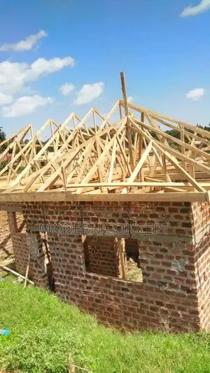 Professional Roofing Services