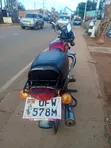 Bajaj Boxer 100 2023 Red - 1