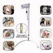 Wall Mounted Half Moon Light Lamp with Phone Holder - 2