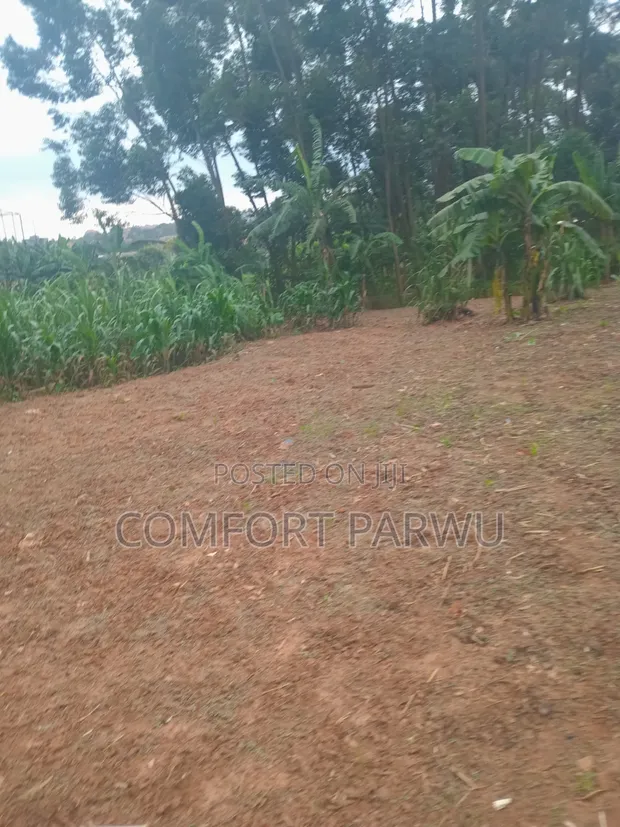 Residential Plot for Sale in Katale - 1