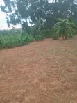 Residential Plot for Sale in Katale - 1