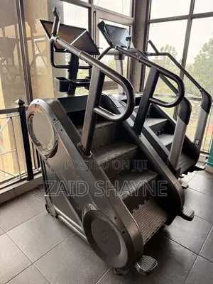 Life Fitness Stair Master with Digital Display