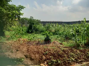 3 Acres Land for Sale/Lease in Kyengera Near Main Road