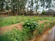 4 Acres Land for Sale/Lease in Kyengera, Main Road - 2